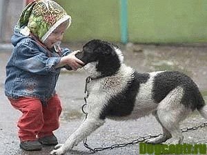 ребенок и собака